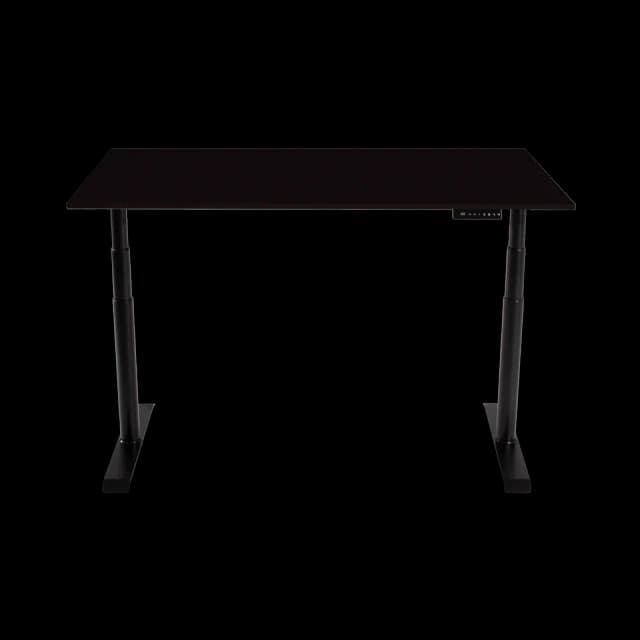 Duel Motor Electric Standing Desk